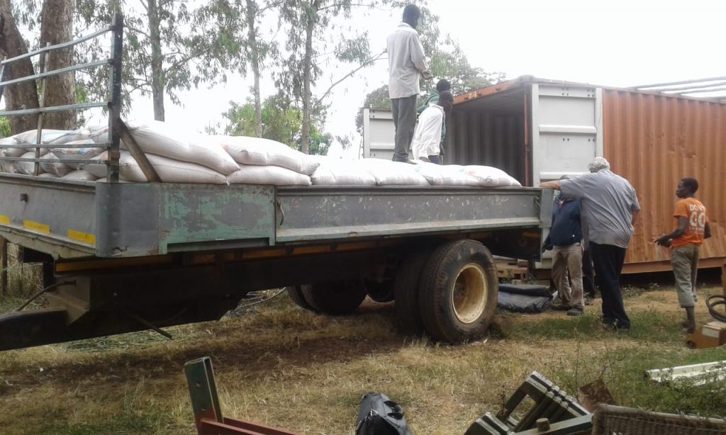 We harvested 215 bags off 2 ha